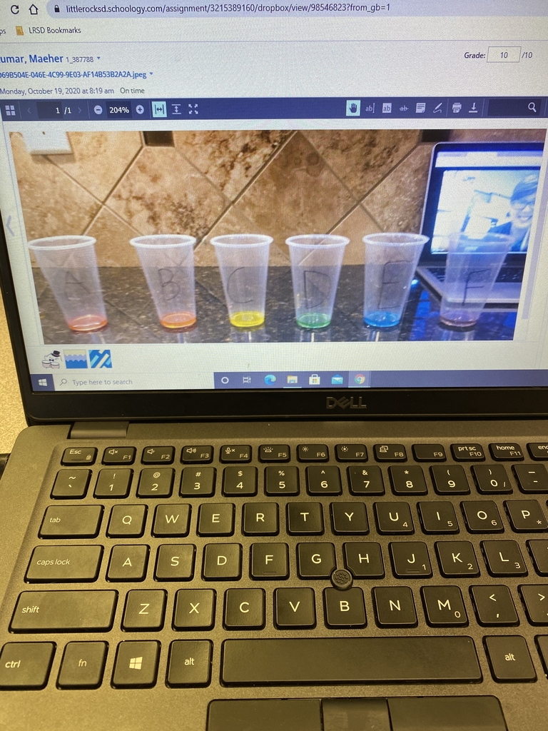 Lab